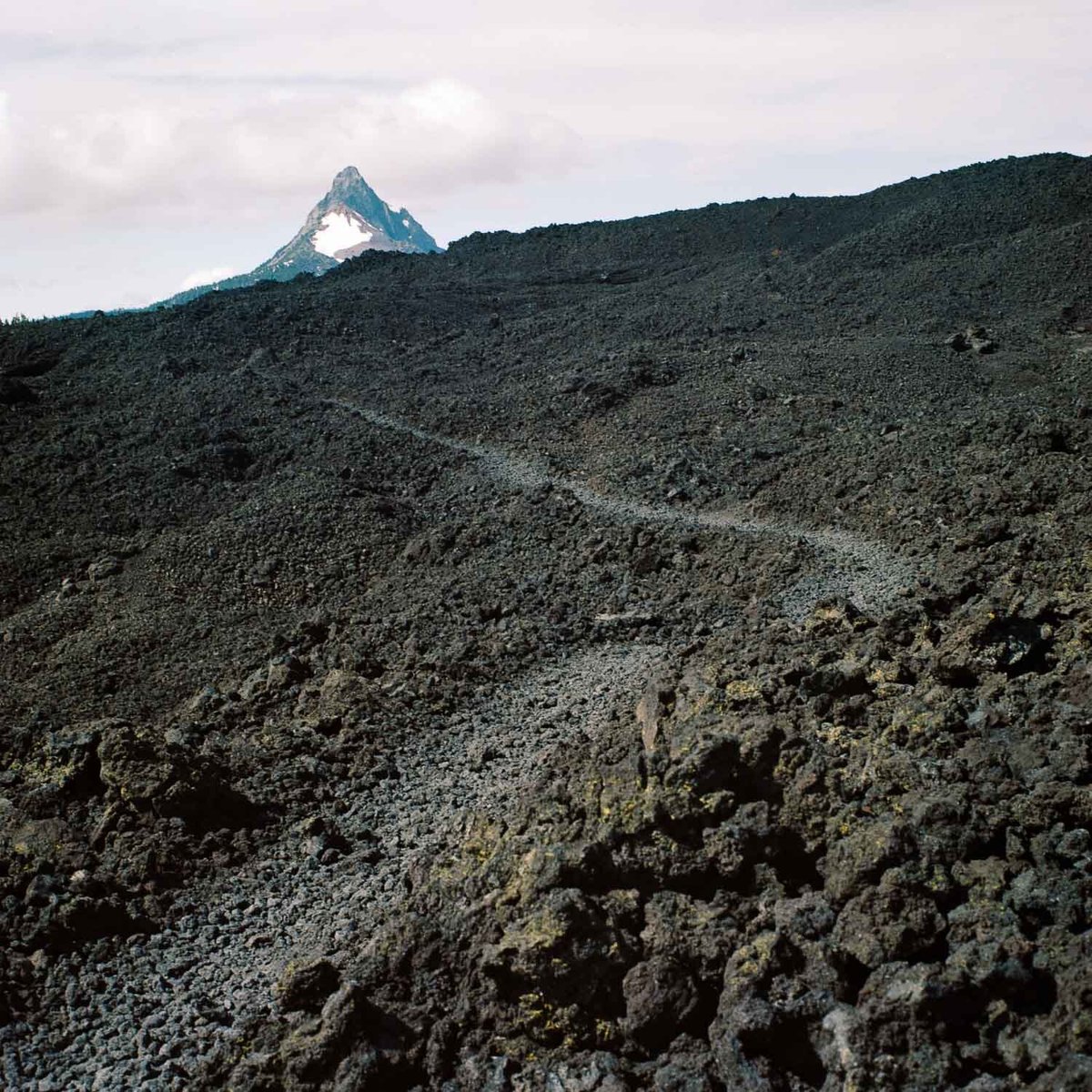 Trail with view of Mt. Washington in Oregon